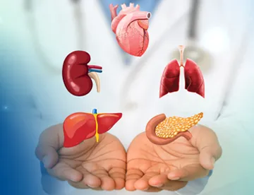 Organ-transplants-(liver-and-kidney),-India
