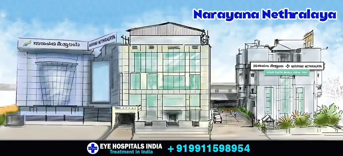 Narayana-Nethralaya Narayana-Nethralaya